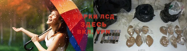 дурь Алексеевка