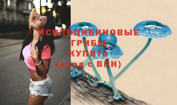 дурь Алексеевка